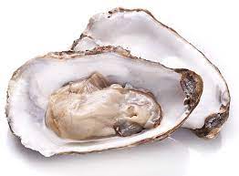 Oyster